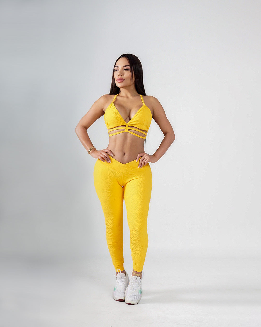Gazania set